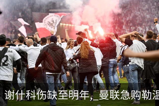 谢什科伤缺至明年, 曼联急购勒温补锋线